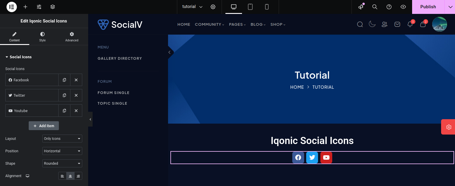 Iqonic Social Icons Widget
